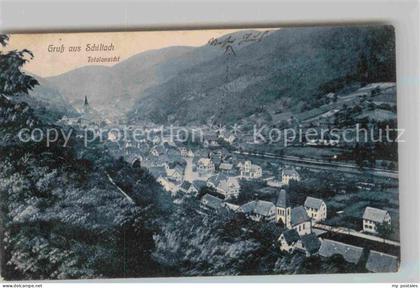 Schiltach Totalansicht