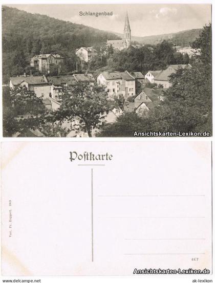 Ansichtskarte Schlangenbad Stadtpartie 1909