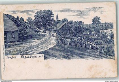 13630265 - Seedorf , Kr Hzgt Lauenb