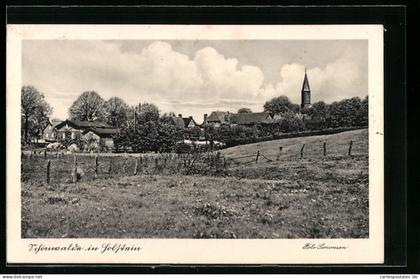 AK Schönwalde / Holst., Ortsansicht mit Kirche