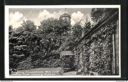 AK Schönwalde / Holstein, Gasthaus Bungsberg-Elisabethturm