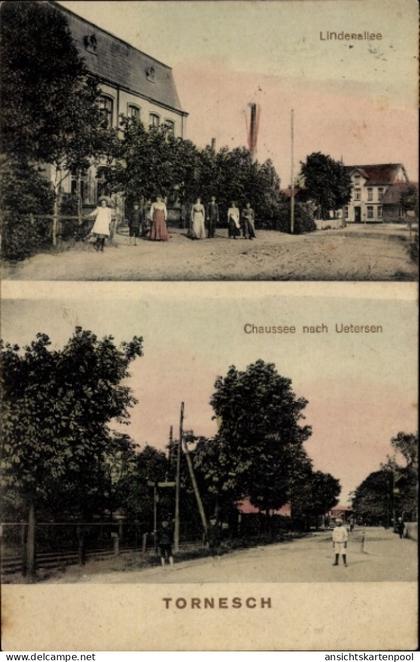 CPA Tornesch in Holstein, Lindenallee, Chaussee nach Uetersen