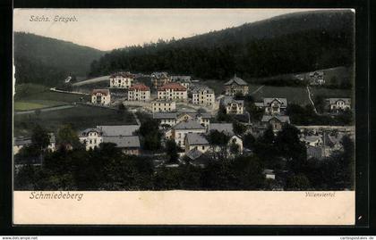 AK Schmiedeberg / Erzgeb., Gesamtansicht