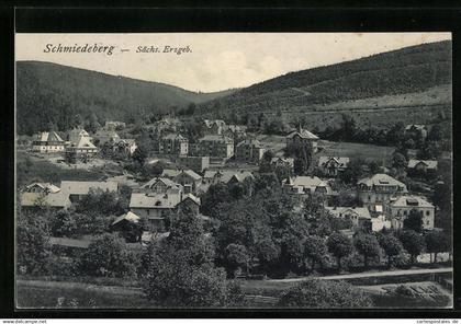AK Schmiedeberg / sächs. Erzgeb., Totalansicht