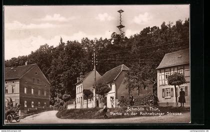 AK Schmölln i. Thür., Partie an der Ronneburger Strasse