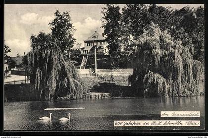 AK Schmölln /Thür., 600-Jahrfeier, Am Brauereiteich