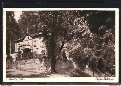 AK Schmölln /Thür., Cafe Waldhaus