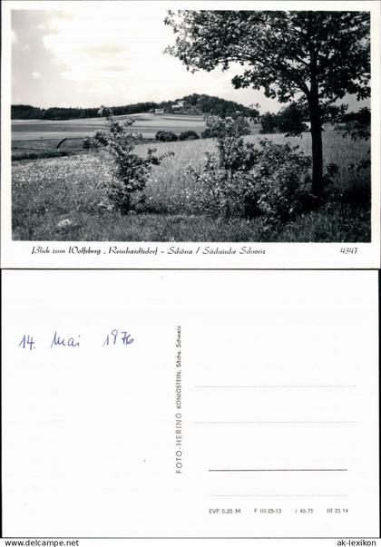 Ansichtskarte Reinhardtsdorf-Reinhardtsdorf-Schöna Wolfsberg 1975