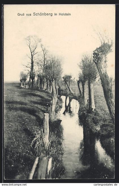 AK Schönberg in Holstein, Bachlauf mit Bäumen
