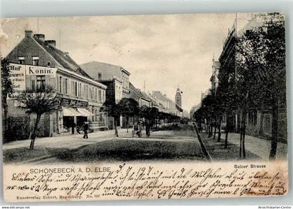 13275374 - Schoenebeck Elbe