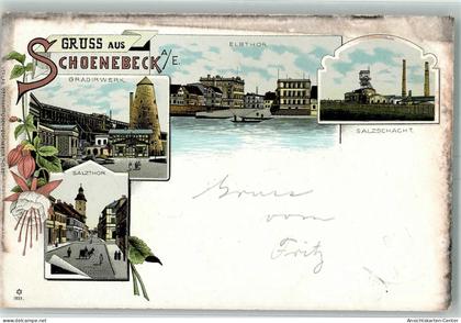 13429674 - Schoenebeck Elbe