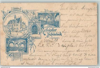 13453651 - Schoenebeck Elbe