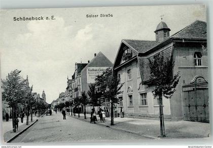 13464420 - Schoenebeck Elbe