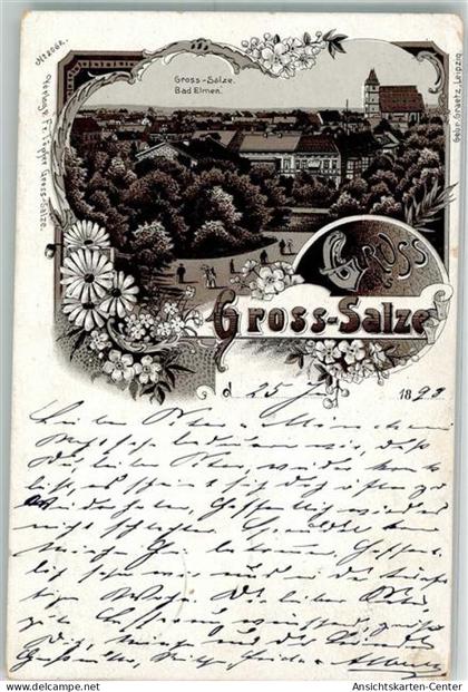 13523050 - Gross Salze