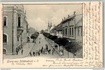 13565699 - Schoenebeck Elbe