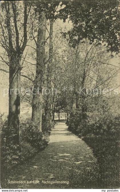 Schoenebeck Elbe Nachtigallensteig