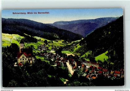 10003038 - Schramberg