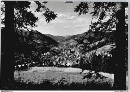50440256 - Schramberg
