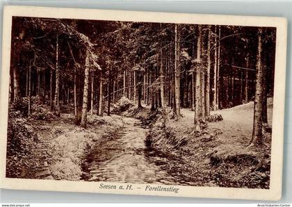 38037761 - Seesen , Harz