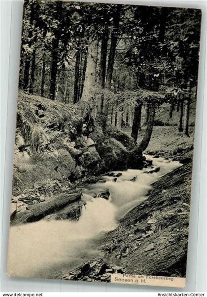 38039929 - Seesen , Harz
