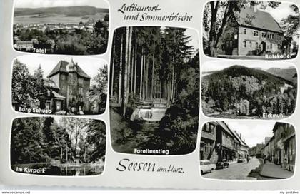 Seesen Harz Seesen Burg Sehusa Eickmuhl Forellenstieg