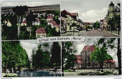 Seesen Harz Seesen Jacobsenstrasse Kurpark Burg Sehusa