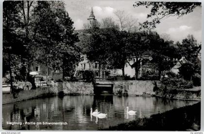 Siegburg Schwanenteich