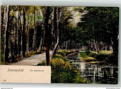 39975191 - Sommerfeld b Velten