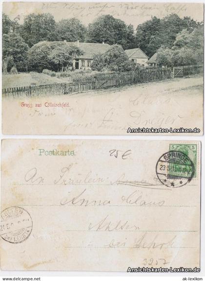 Ansichtskarte Köllnischfeld-Springe Panorama 1904