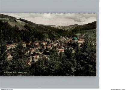 50267893 - St. Blasien