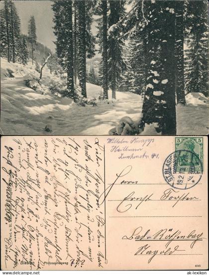 Ansichtskarte St. Blasien Philosophenweg (St. Blasien) 1913