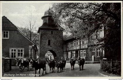 50341862 - Stolberg (Harz)