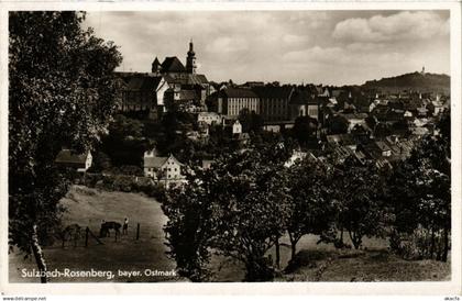 CPA Sulzbach-Rosenberg - Panorama GERMANY (962704)