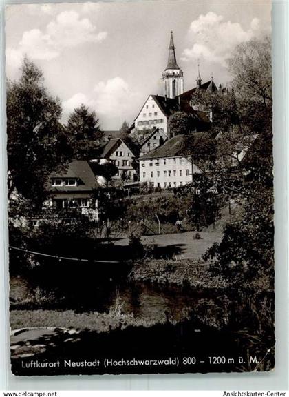 10451919 - Neustadt Titisee-Neustadt