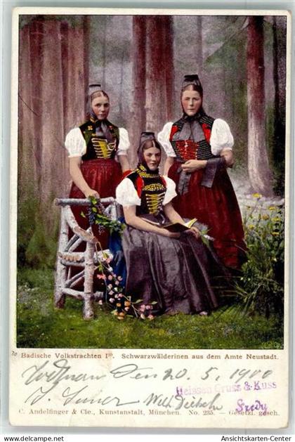 10658895 - Neustadt Titisee-Neustadt