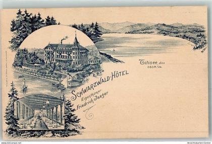 13614214 - Titisee Titisee-Neustadt