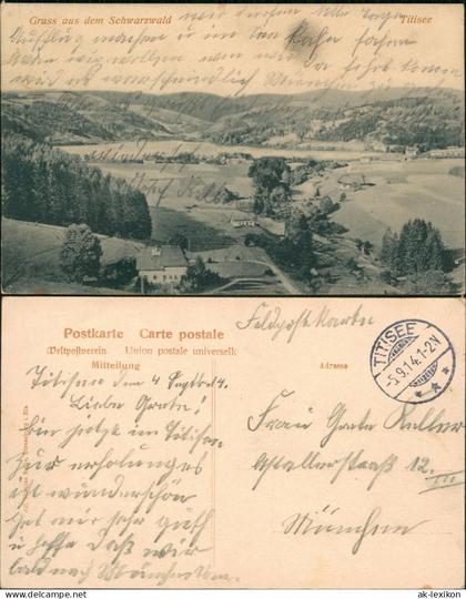 Ansichtskarte Titisee-Neustadt Fernblick 1914