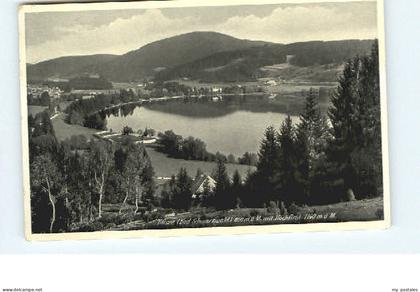 Titisee-Neustadt Titisee Neustadt mit Hochfirst