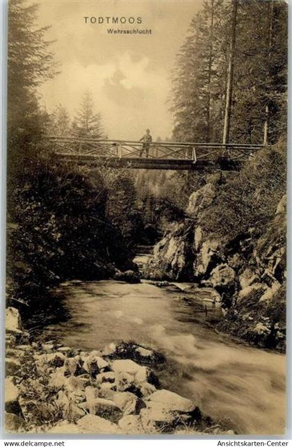 51544747 - Todtmoos