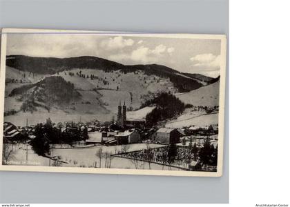 50301955 - Todtnau
