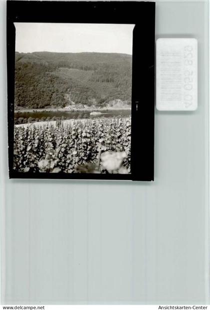 40055829 - Traben-Trarbach