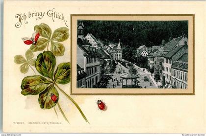 13579811 - Triberg im Schwarzwald