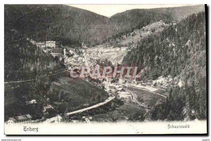 CPA Triberg Schwarzwald