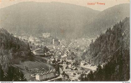 Triberg Panorama