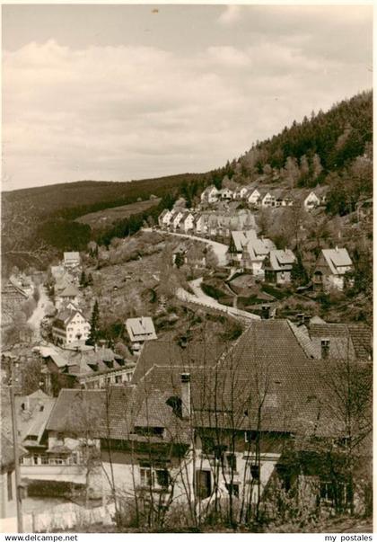 Triberg Panorama