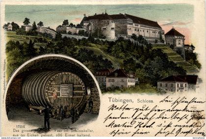 Tübingen - Schloss