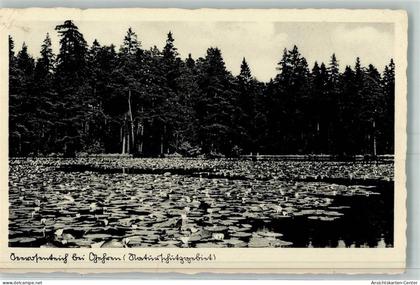 10459923 - Gehren , Thuer