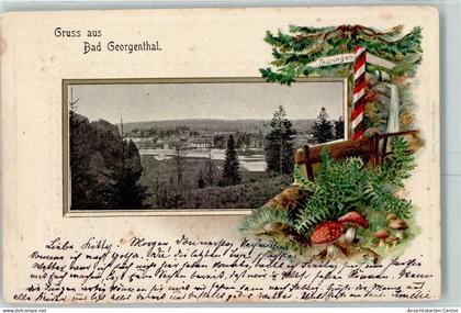 13424398 - Georgenthal , Thueringerw