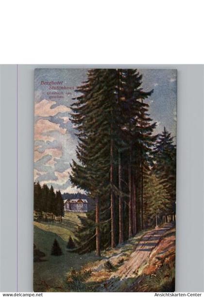 50461158 - Gehren , Thuer