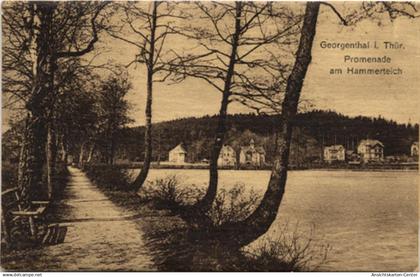 55093105 - Georgenthal
